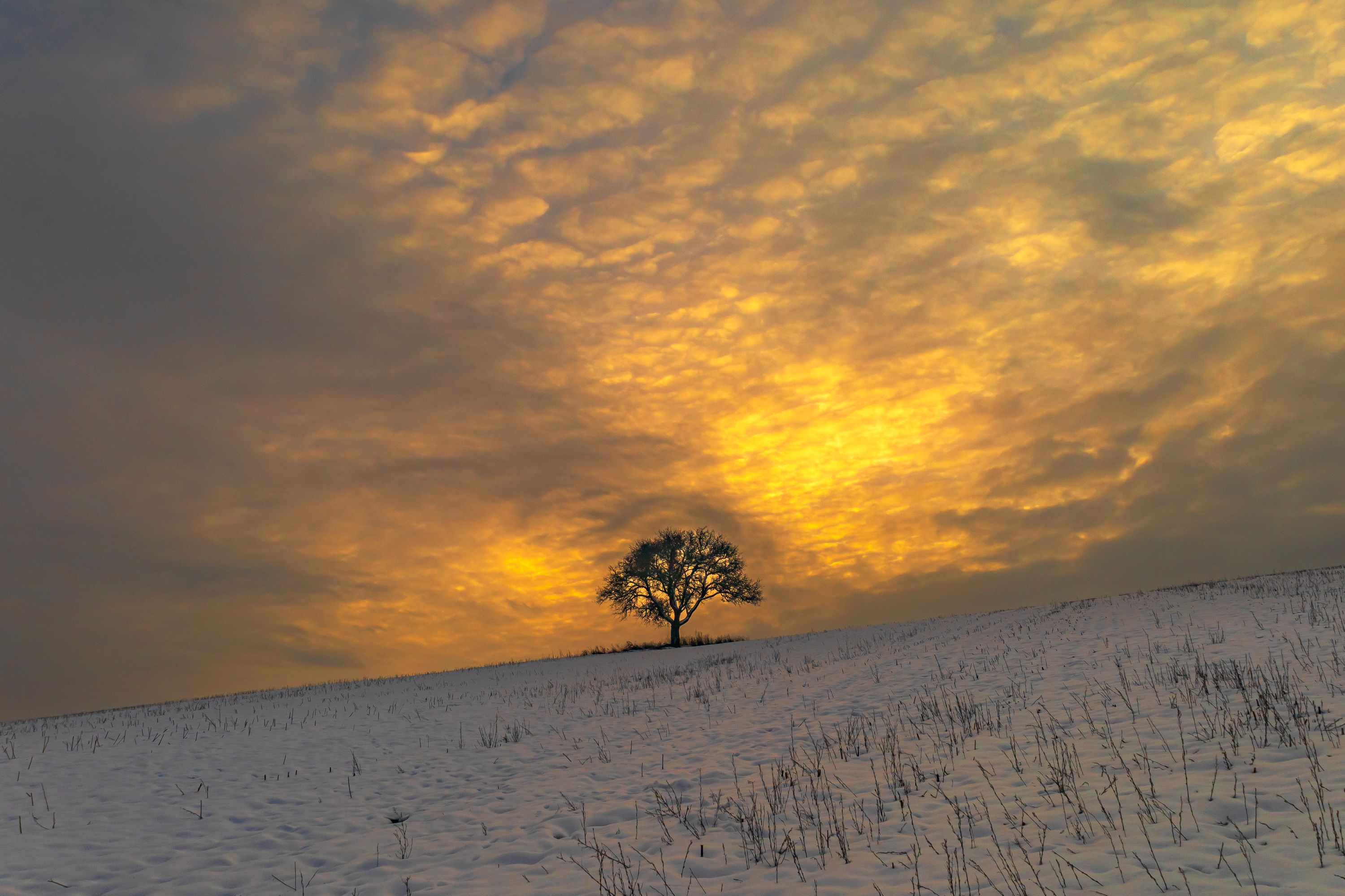 Winter sunset